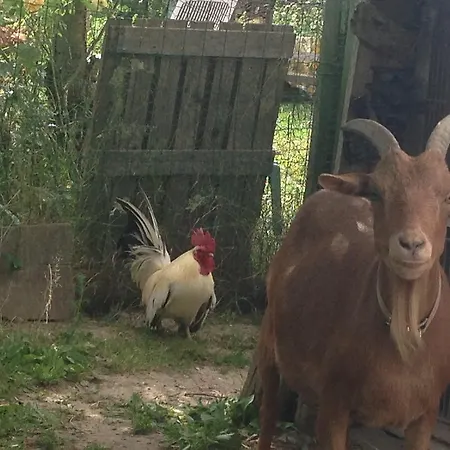 Отель типа 